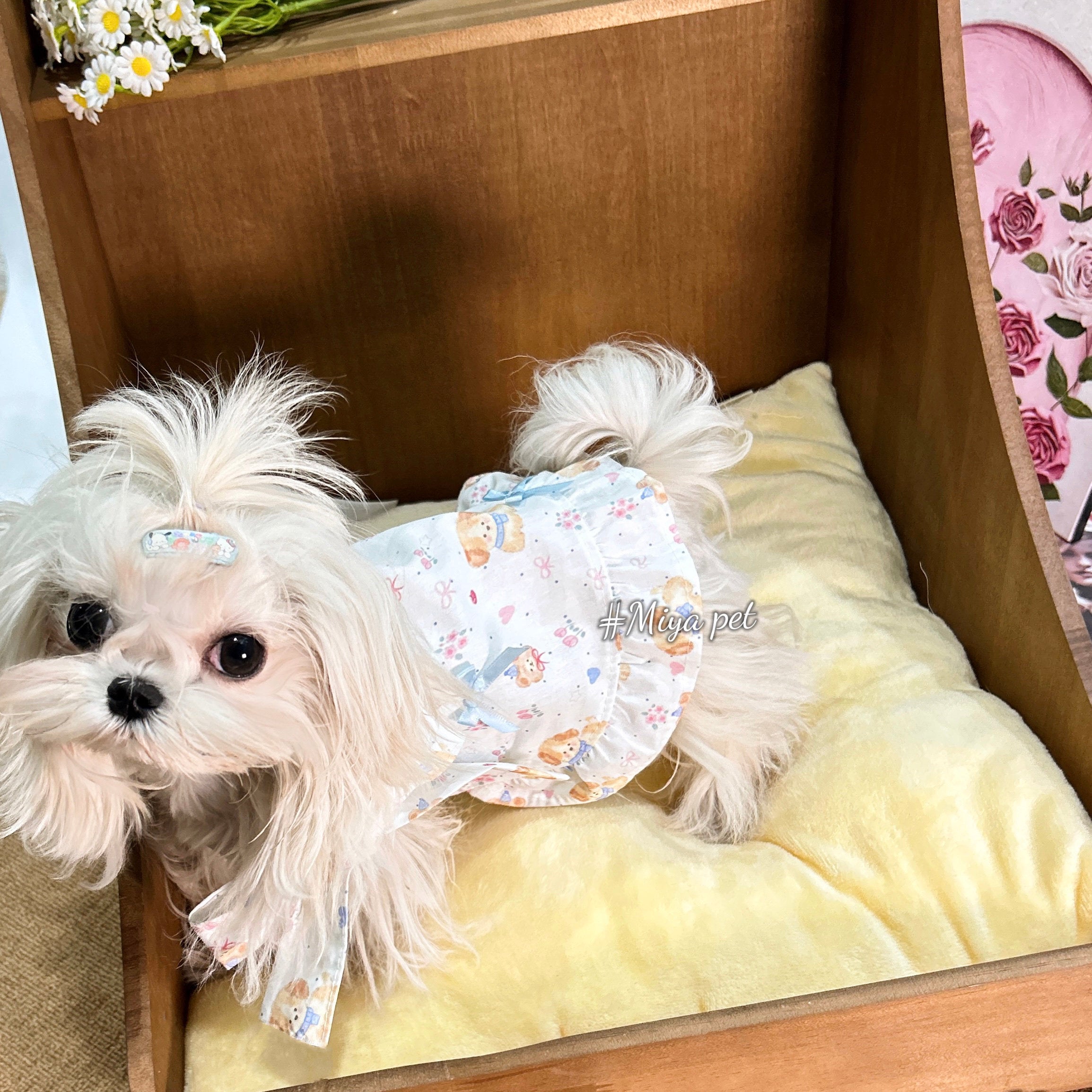 Korean Style Large Bow Halter Cotton Pet Dress for Small Dogs & Cats Pet Dress Miya