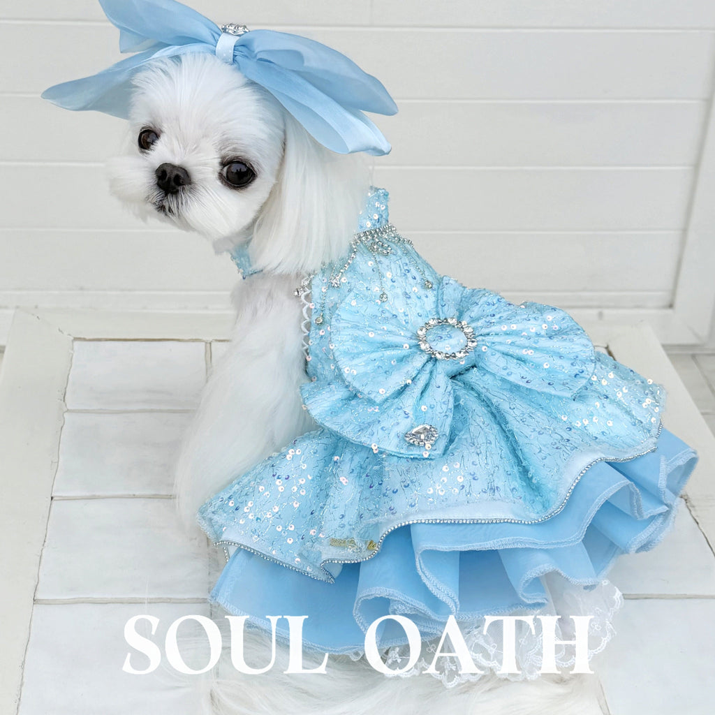 Cinderella Princess Dog Dress | Fairy Tale Sequin Tulle Pet Gown for Small Dogs Pet Dress SOUL OATH