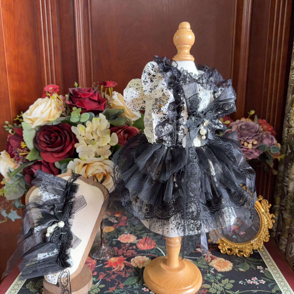 Amya - Noir Lace Gothic Pet Dress Pet Dress Amya