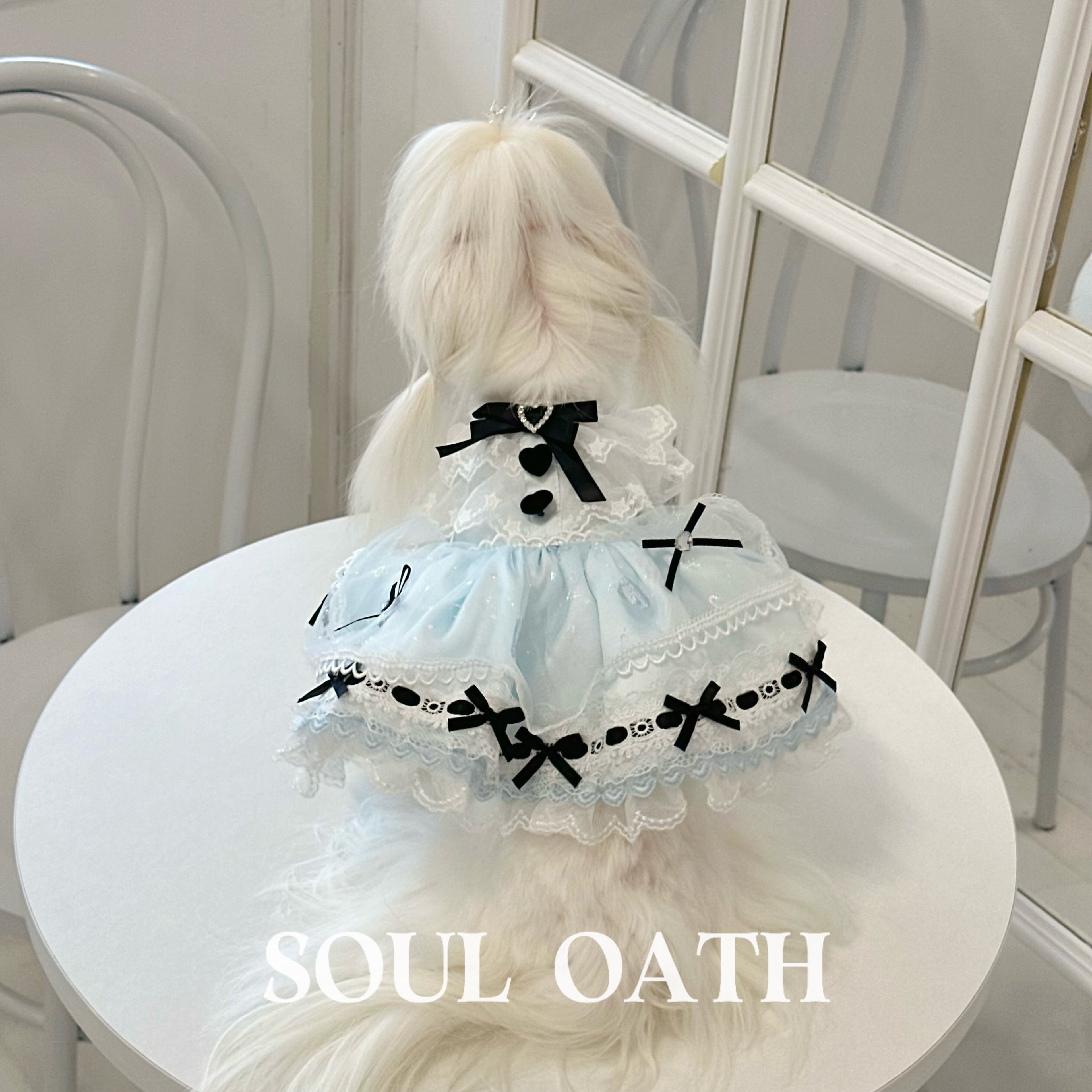 Alice in Wonderland Luxury Dog Dress Set | Princess Gown with Crown & Bonnet for Small Dogs Pet Dress SOUL OATH