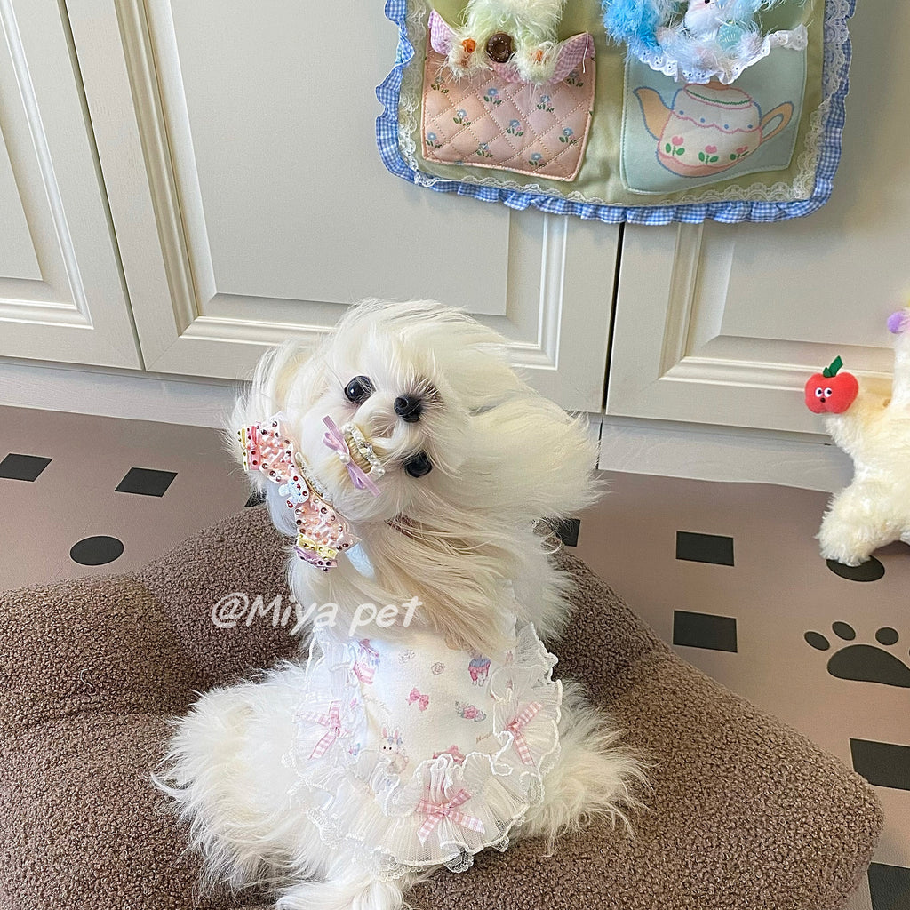 Sweetheart Print Lace Pet Dress Pet Dress Miya