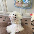 Sweetheart Print Lace Pet Dress Pet Dress Miya