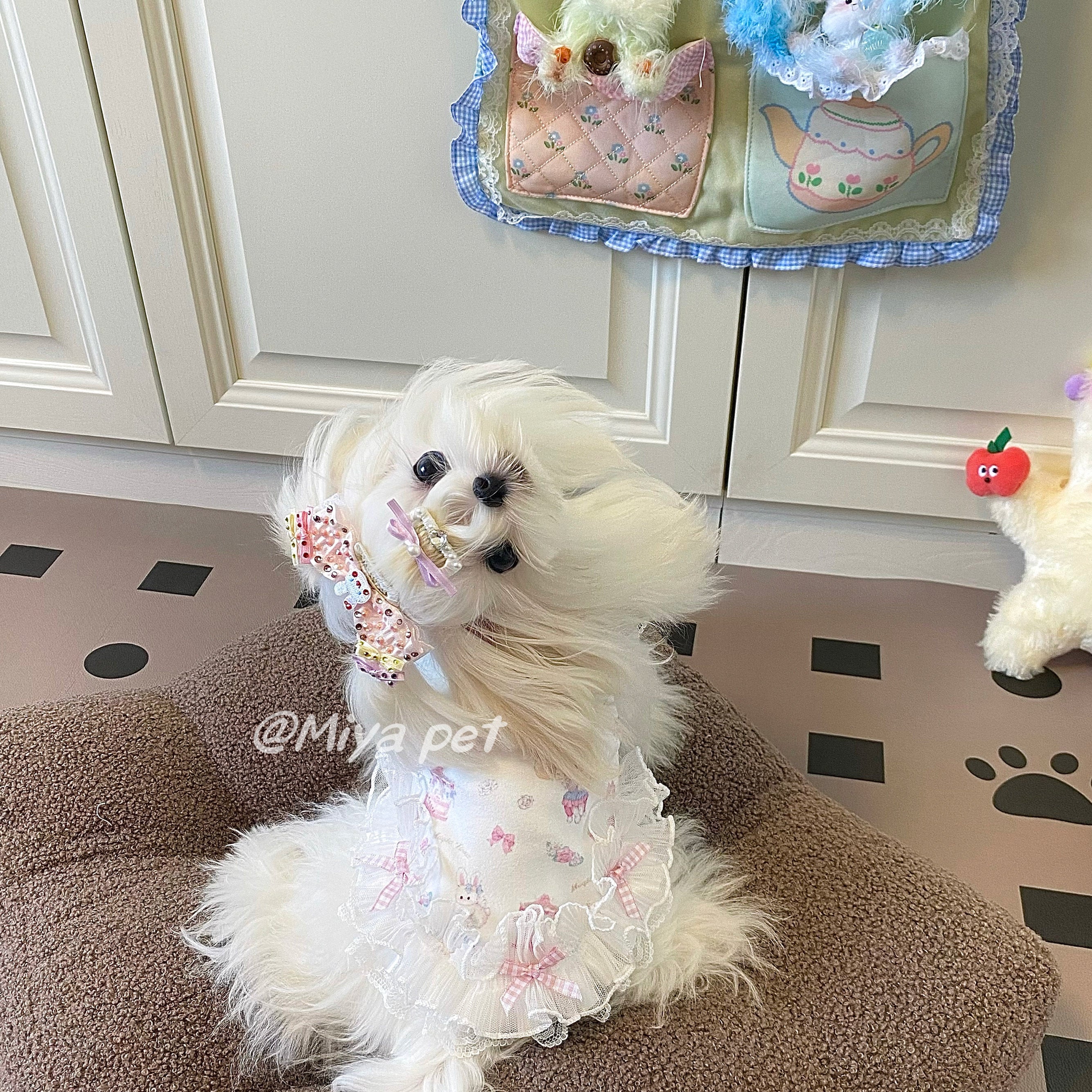 Sweetheart Print Lace Pet Dress Pet Dress Miya