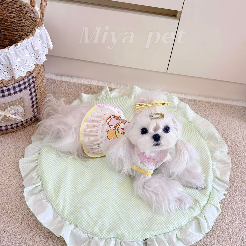 Dopamine Color Block Pet Dress Pet Dress Miya