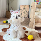 Sweet Heart Lace Pet Dress with Cartoon Print for Small Dogs & Cats Pet Dress Miya