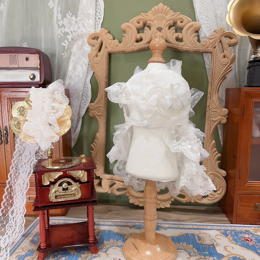Amya - White Star Lolita Pet Dress Pet Dress Amya