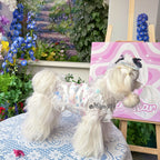Bear Print Lace Camisole Pet Dress for Small Dogs & Cats Pet Dress Miya