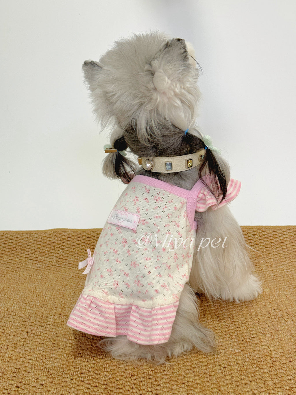 Floral Mesh Ruffle Pet Dress for Small Dogs & Cats Pet Dress Miya