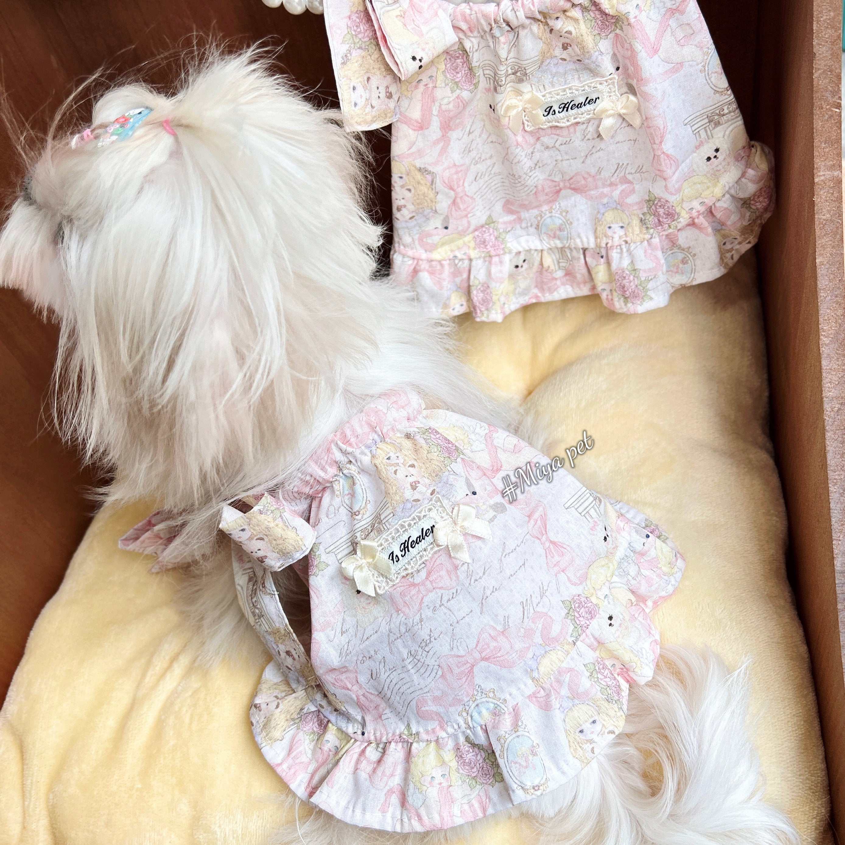 Monet Garden Print Cotton Pet Dress Pet Dress Miya