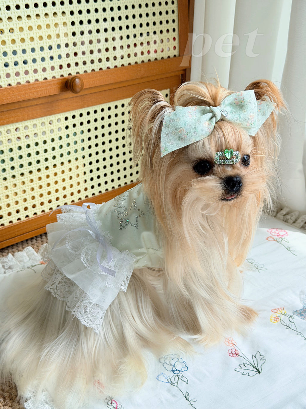 Rhinestone Crown Lace Pet Dress Pet Dress Miya