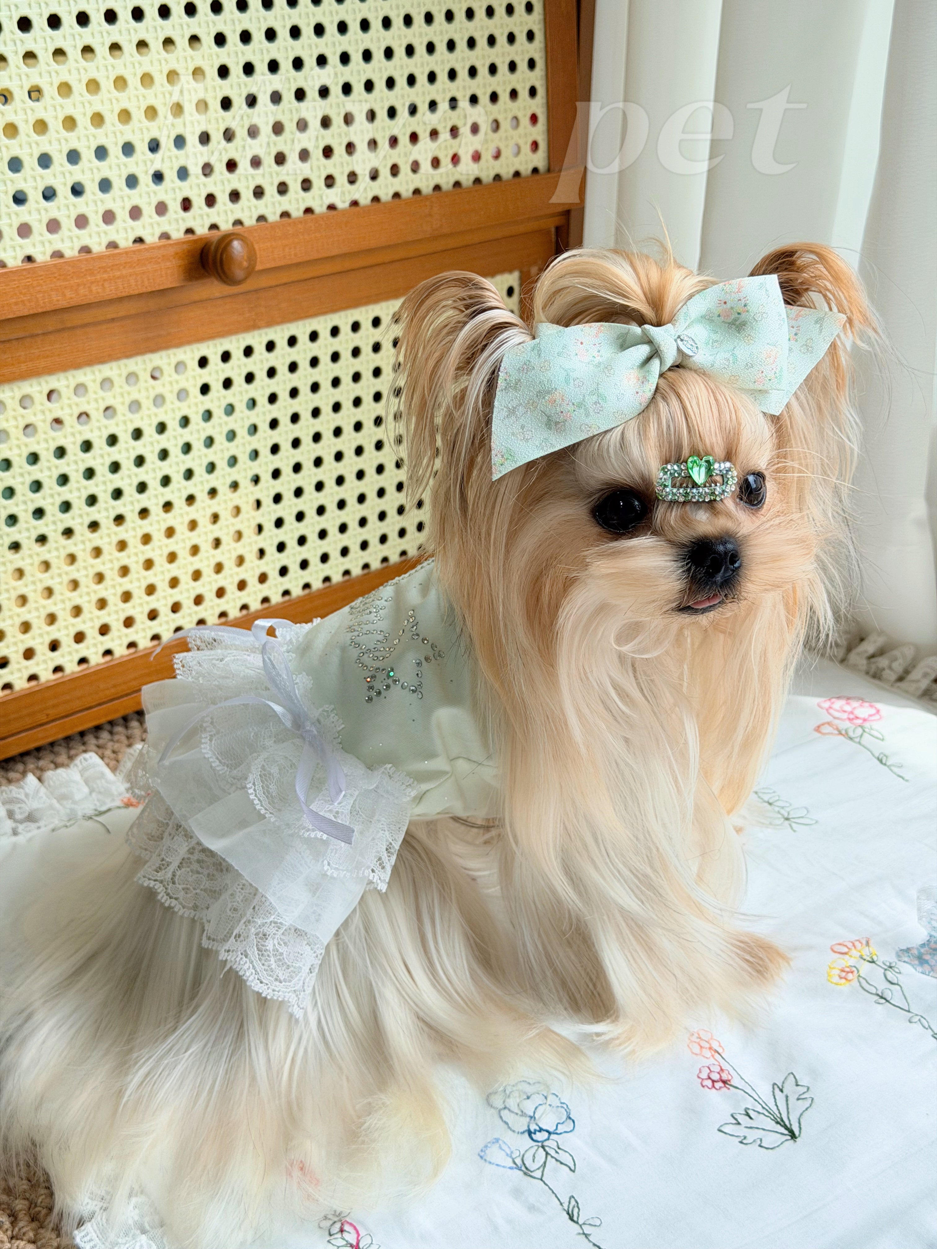 Rhinestone Crown Lace Pet Dress Pet Dress Miya