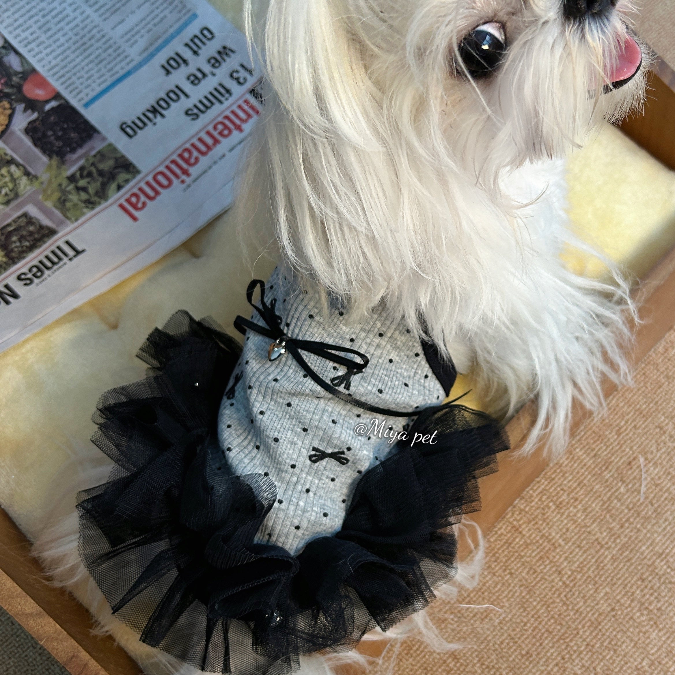 Black Tulle Tutu Pet Dress with Rhinestone Bow for Small Dogs & Cats Pet Dress Miya