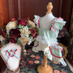 Amya - Mint Red Trim Lolita Pet Dress Pet Dress Amya