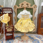 Amya - Gingham Duck & Pineapple Pet Dress Pet Dress Amya