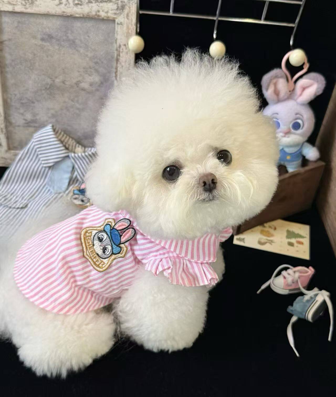 Striped Bunny Patch Pet Shirt Pet Top Miya