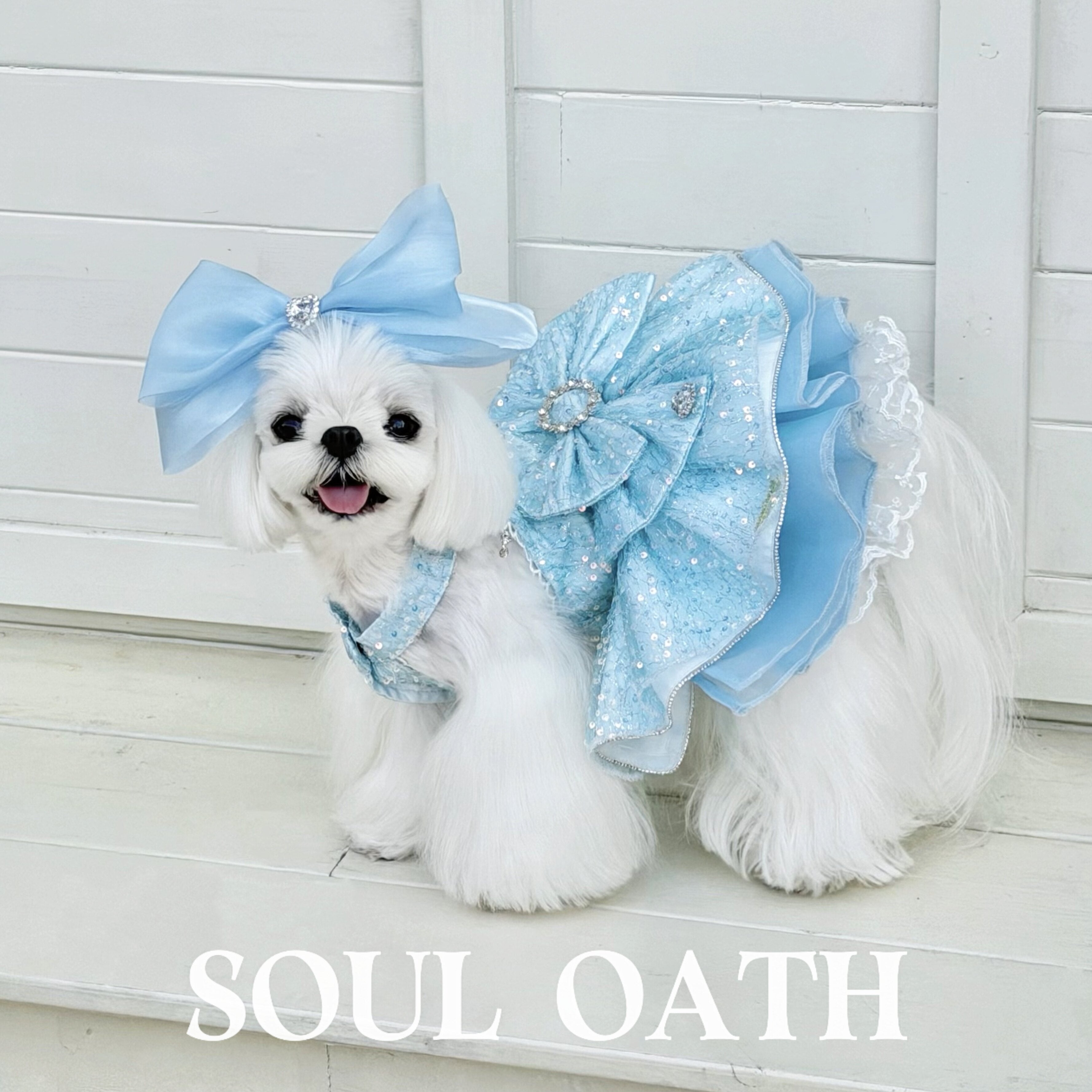 Cinderella Princess Dog Dress | Fairy Tale Sequin Tulle Pet Gown for Small Dogs Pet Dress SOUL OATH