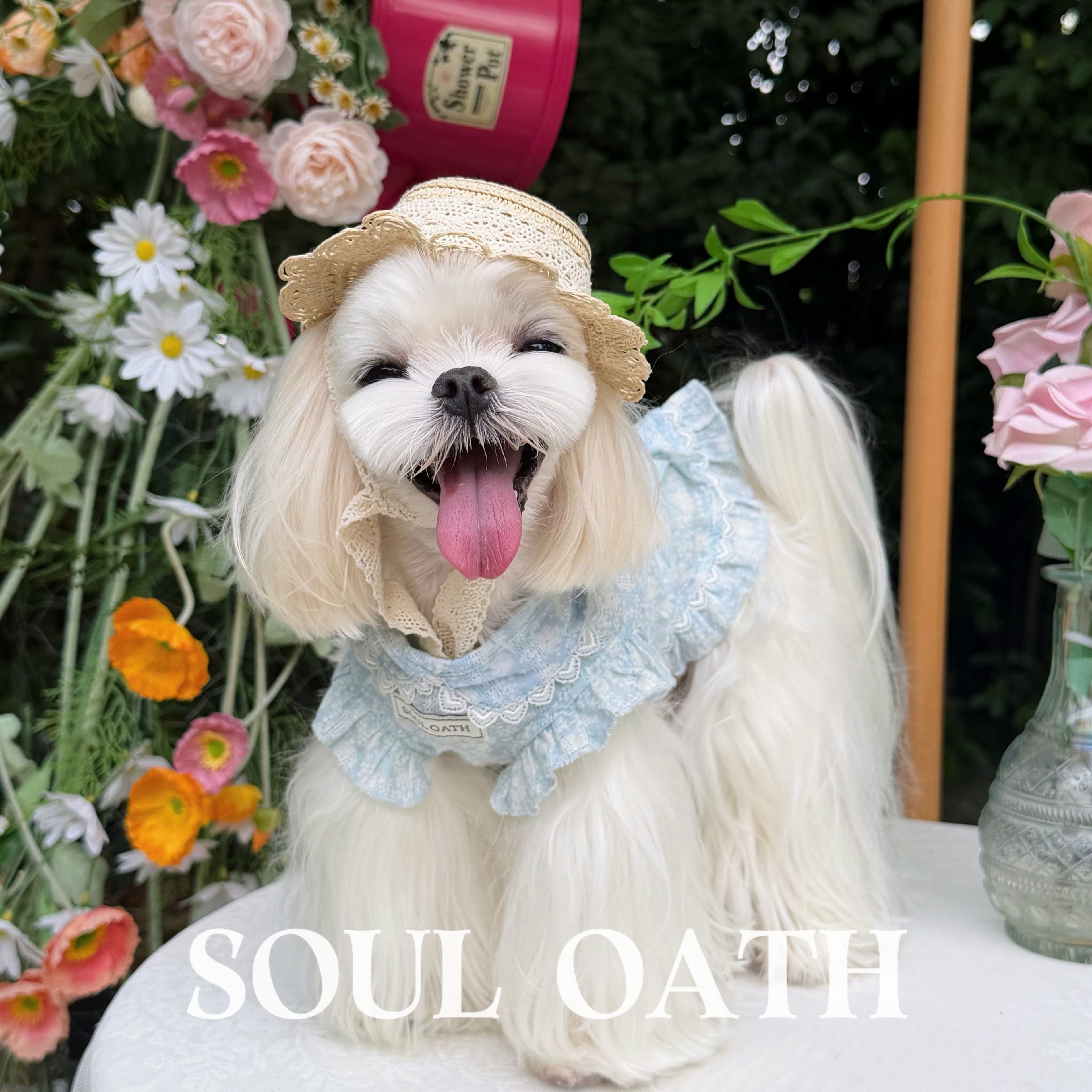 Cooling Summer Dog Shirt | Lightweight Anti-Shedding & Breathable Pet Clothes for Small Dogs Pet Dress SOUL OATH
